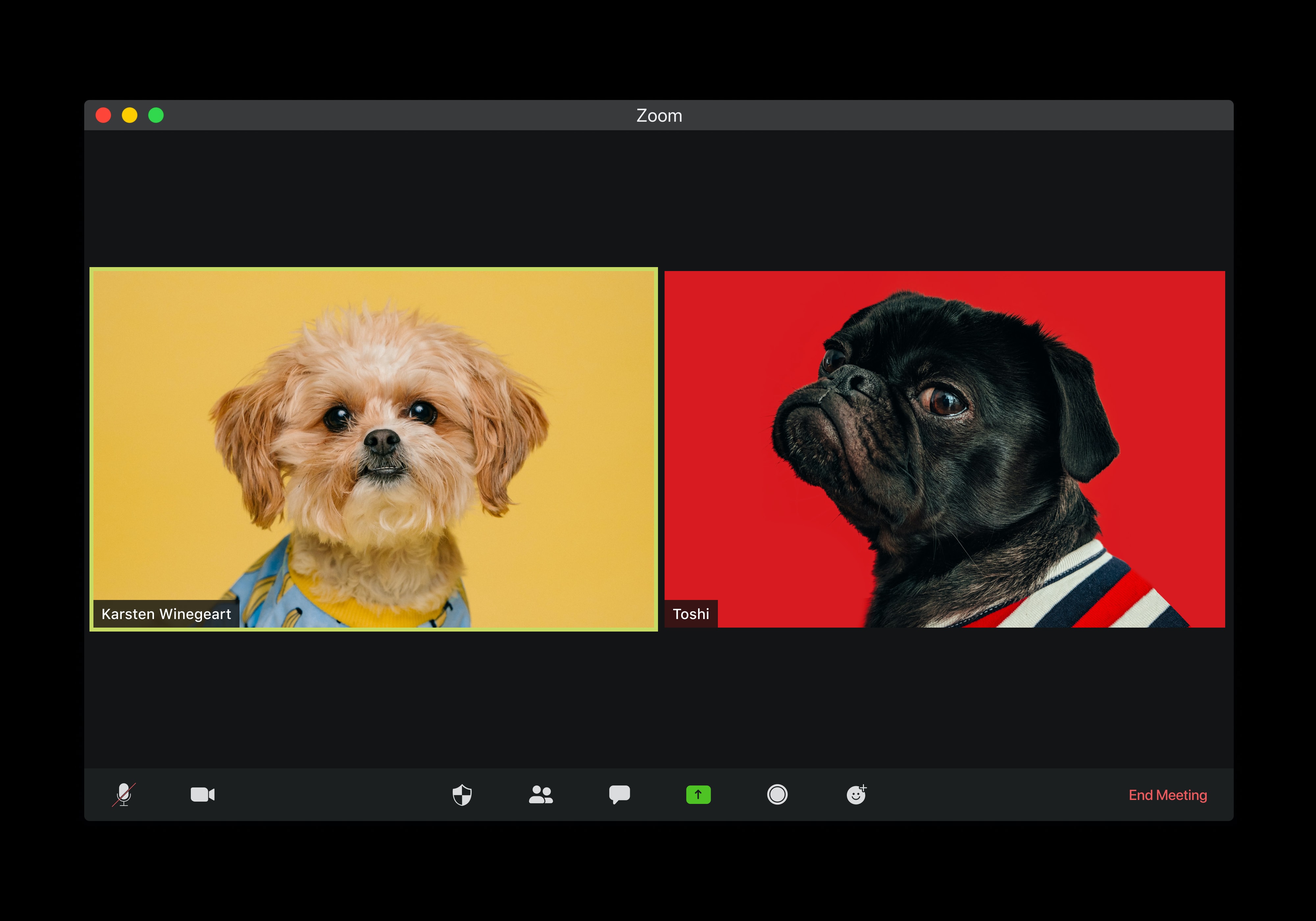 Zoom Cloud Recording Download Script - Tribloom Zoom Cloud Recording Download Script - Tribloom